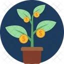 Planta de dinero  Icono