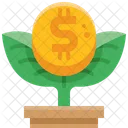 Planta De Dinheiro Arvore Crescimento Ícone