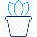 Planta de escritorio  Icono