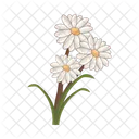Flor Planta Naturaleza Icono