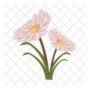 Flor Planta Naturaleza Icono