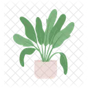 Planta de gran tamaño para salón.  Icono