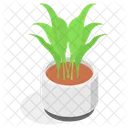 Planta Decorativa En Maceta Icono