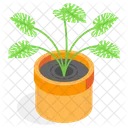Planta Decorativa En Maceta Icono