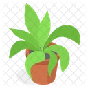 Planta Decorativa En Maceta Icono
