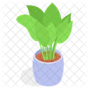Planta Decorativa En Maceta Icono