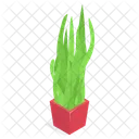 Planta Decorativa En Maceta Icono