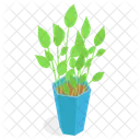 Planta Decorativa En Maceta Icono