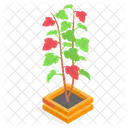Planta Decorativa En Maceta Icono