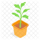 Planta Decorativa En Maceta Icono