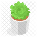 Planta Decorativa En Maceta Icono