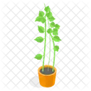 Planta Decorativa En Maceta Icono