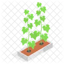 Planta Decorativa En Maceta Icono