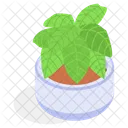 Planta Decorativa En Maceta Icono