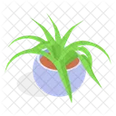 Planta Decorativa En Maceta Icono