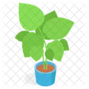 Planta Decorativa En Maceta Icono