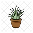 Plantas De Interior Para Decoracion Disponibles En Vector Icono