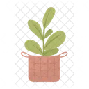 Planta Planta De Interior Pot Icono