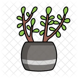 Planta de jade  Icono