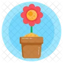 Planta de margarita  Icono