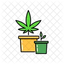 Pot Marihuana Cannabis Icono