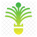 Planta de navidad  Icono