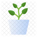 Planta De Potos Icono