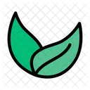 Verde Folha Folhas Ícone
