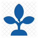 Hoja Flor Ecologia Icon