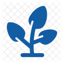 Crecimiento Ecologia Naturaleza Icon