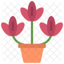 Planta de tulipanes  Icono