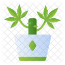 Planta De Yuca Icono