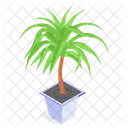 Planta Decorativa En Maceta Icono