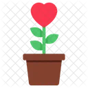 Planta Del Amor Crecimiento Del Amor Planta Del Corazon Icono