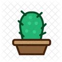 Planta del desierto  Icono