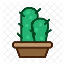 Planta del desierto  Icono