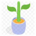 Planta Decorativa En Maceta Icono
