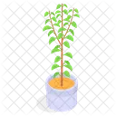 Planta Decorativa En Maceta Icono