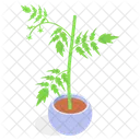 Planta Decorativa En Maceta Icono