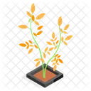 Planta Decorativa En Maceta Icono