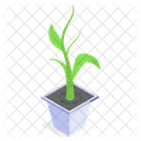 Planta Decorativa En Maceta Icono