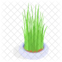 Planta Decorativa En Maceta Icono