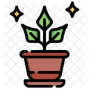 Planta en maceta  Icon