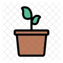 Planta Natureza Crescimento Icon