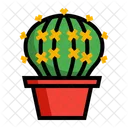 Planta Grusonii  Icono