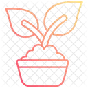 Planta  Icono