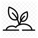 Linea Icono