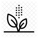 Linea Icono
