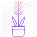 Planta De Lavanda Vaso De Lavanda Lavanda Icon