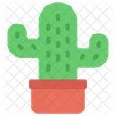 Mini cactus  Icono